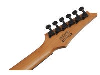 Ibanez GRGR221FA-TDK Ibanez GRGR221FA-TDK